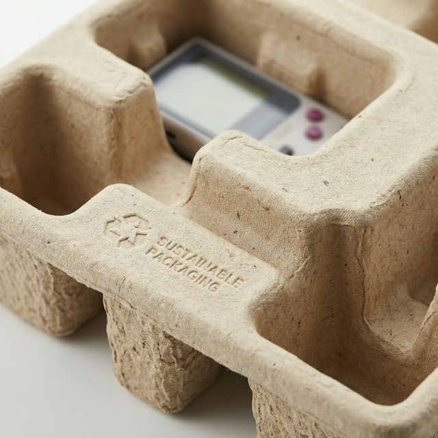 Molded Pulp Packaging